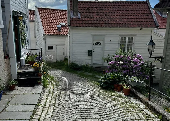 Bergenshus Rett Ved Bryggen I Bergen