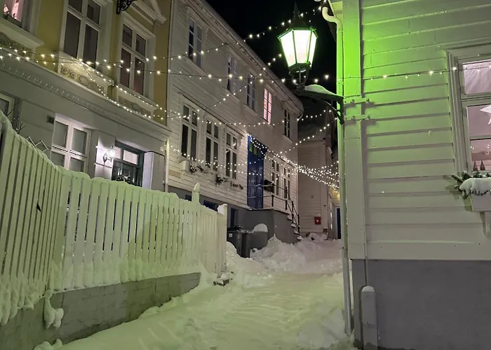 Διαμέρισμα Bergenshus Rett Ved Bryggen I