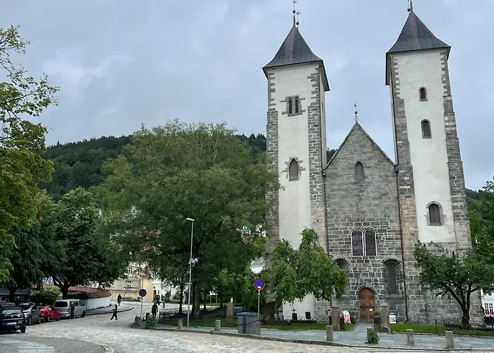 Bergenshus Rett Ved Bryggen I Apartment *