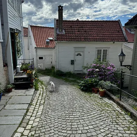 Bergenshus Rett Ved Bryggen I Bergen