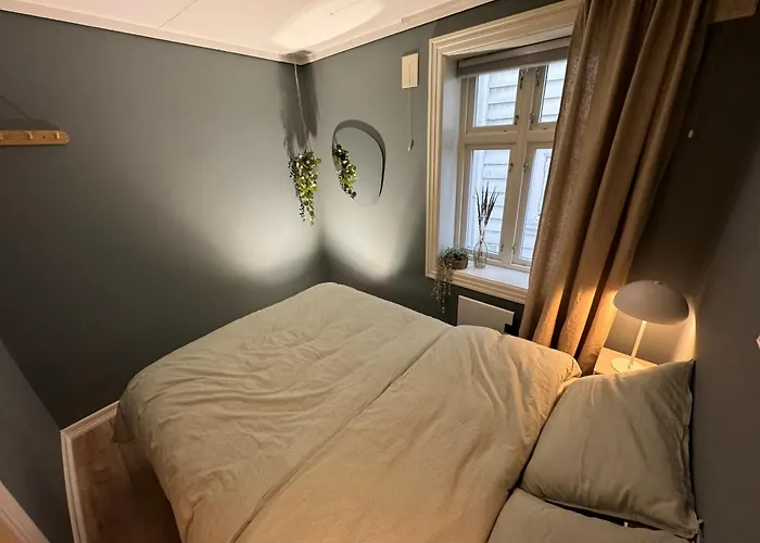 Bergenshus Rett Ved Bryggen I